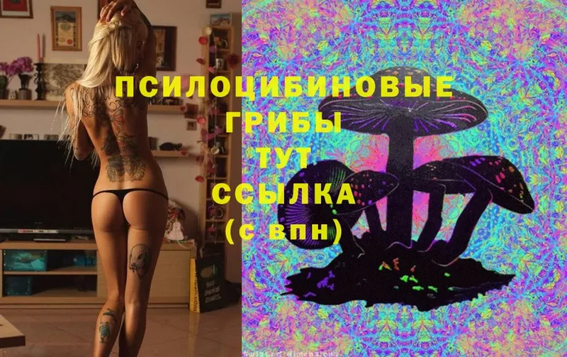 площадка как зайти  Биробиджан  Галлюциногенные грибы MAGIC MUSHROOMS  где найти наркотики 